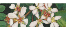 Tablet Screenshot of lumenchristiart.com